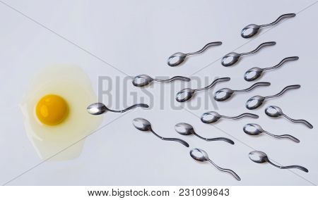 Fertilizing Concept. Spermatozoa And Egg As Symbols, Eggs And Spoons. Spoons Go To Egg Yolk As Male 