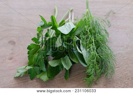 Fresh Parsley, Mint, Dill On Wooden Table