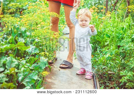 The Child Learns To Walk In The Park Barefoot On The Grass