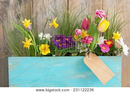 Assorted Spring Flowers Inside A Wooden Plant Holder With Blank Label Attached