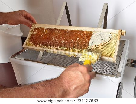 Colorful And Crisp Image Of Uncapping Of Honeycomb At Plastic Tub