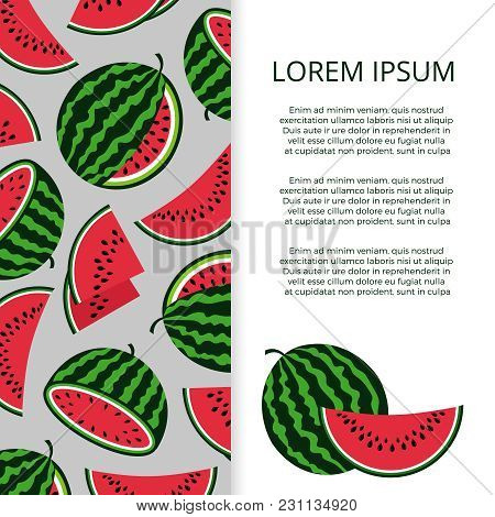 Bright Vector Colored Watermelons Banne And Poster Template With Text Illustration