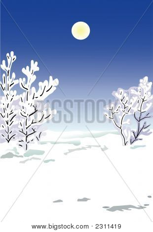 Träd täckta med en snö i en vintersäsong