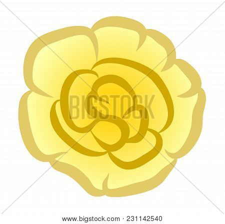 Vector Illustration, Flat Cartoon Yellow Terry Impatiens Flower Isolated On White Background