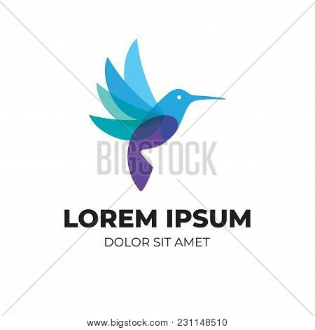 Abstract Modern Logo With Overlapping Vibrant Color