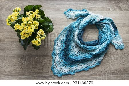 Background Tree Flower Kalandiva Yellow Bactus Shawl Crocheted Azure Blue Blue Sectional Dyeing Moha
