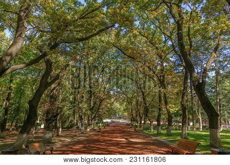 Alley In Vake Park In Autumn, Tbilisi, Georgia