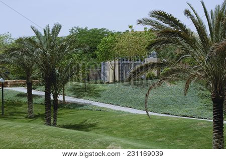 Green Park With Palms In King Abdulaziz Historical Center In Riyadh, Saudi Arabia On 04-30-2006