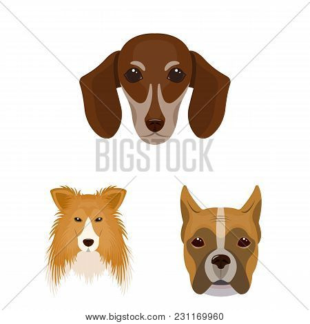 Dog Breeds Cartoon Icons In Set Collection For Design.muzzle Of A Dog Vector Symbol Stock  Illustrat