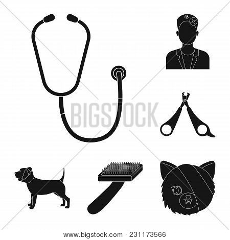 Veterinary Clinic Black Icons In Set Collection For Design. Treatment Of A Pet Vector Symbol Stock  