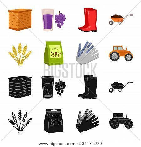 Spikelets Of Wheat, A Packet Of Seeds, A Tractor, Gloves.farm Set Collection Icons In Black, Cartoon