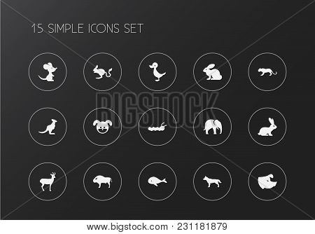 Set Of 15 Editable Zoo Icons. Includes Symbols Such As Rabbit, Rat, Whale And More. Can Be Used For 