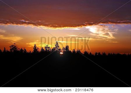 Небо в огне над лесом