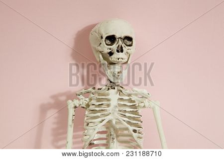 Pink Skeleton