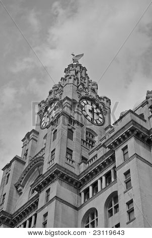 Liverbuidling