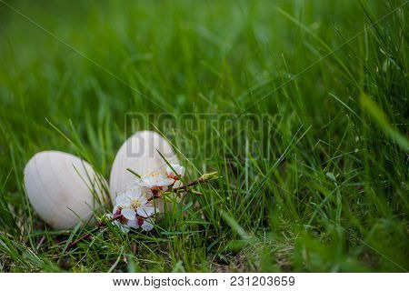 Two White Wooden Easter Eggs With A Branch Of Apricot In Green Grass. Easter Background. Search For 