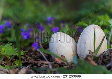 Two White Wooden Easter Eggs With A Branch Of Apricot In Green Grass. Easter Background. Search For 