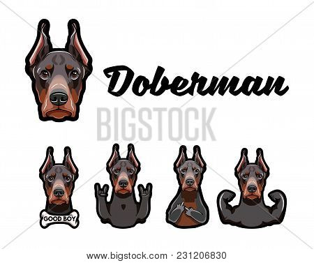 Doberman With Gestures. Middle Finger, Bone, Muscules, Rock Gesture, Horns Dobermann Dog Vector Illu