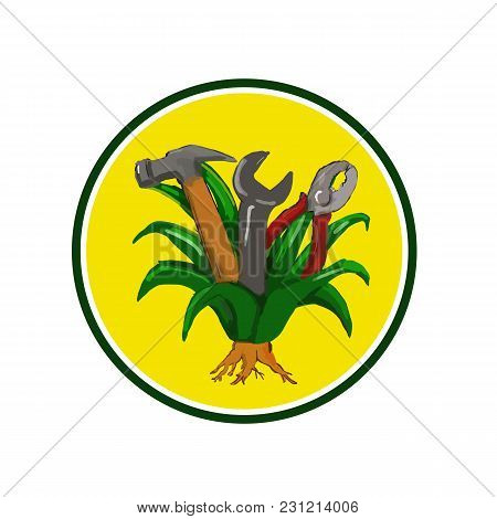 Water Color Sketch Style Illustration Of An Agave Plant, A Monocot Native To Mexico And Southwestern