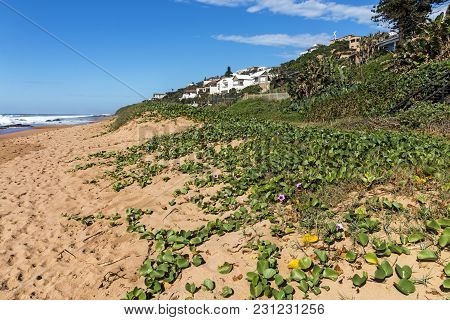 Green Dune Vegetaation Beach Sea And Residential Buildings Against Blue Cloudy Coastal Seascape At S