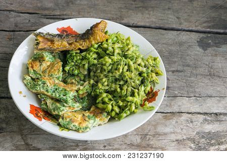 Climbing Wattle, Acacia Or 