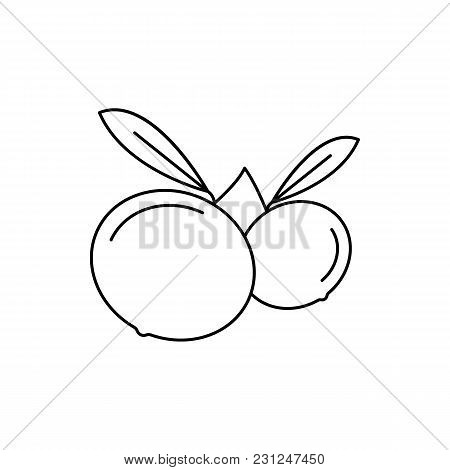 Mundu Icon. Outline Mundu Vector Icon For Web Design Isolated On White Background