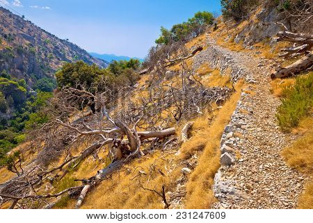Stone Desert Trail Near Pustinja Blaca Hermitage On Brac Island, Dalmatia Region Of Croatia