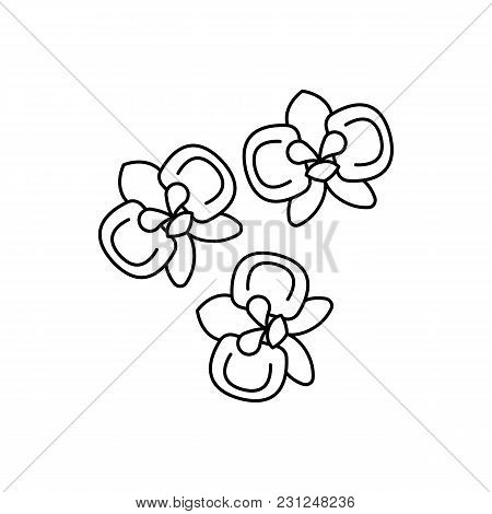 Moon Orchid Icon. Outline Moon Orchid Vector Icon For Web Design Isolated On White Background