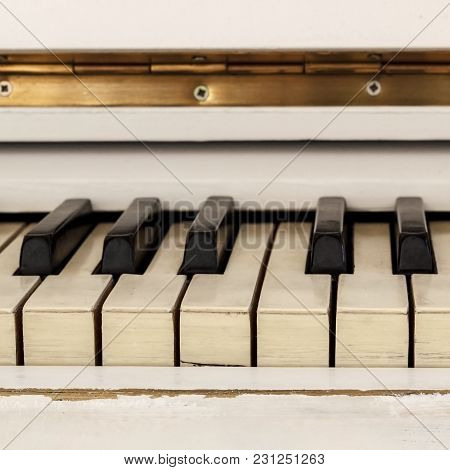 White Pianoforte, Front View Instrument, Musical Instrument. Learn To Play The Instrument At Home. W