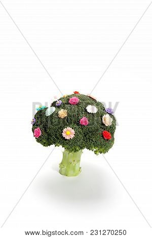 Broccoli Like A Bouquet Of Flowers