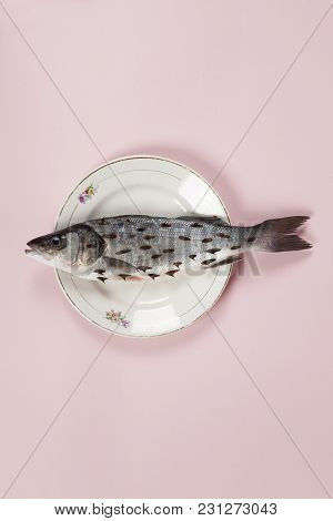 Fish Pink Plate Rosebush Thorns