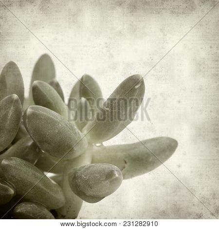 Textured Old Paper Background