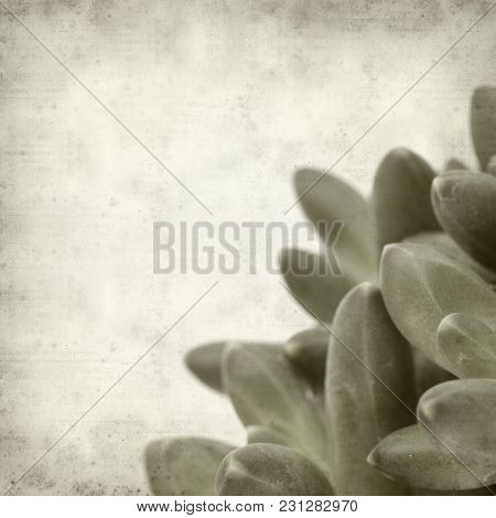 Textured Old Paper Background