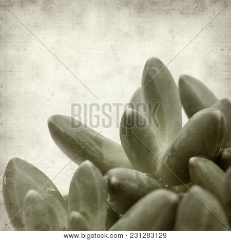 Textured Old Paper Background
