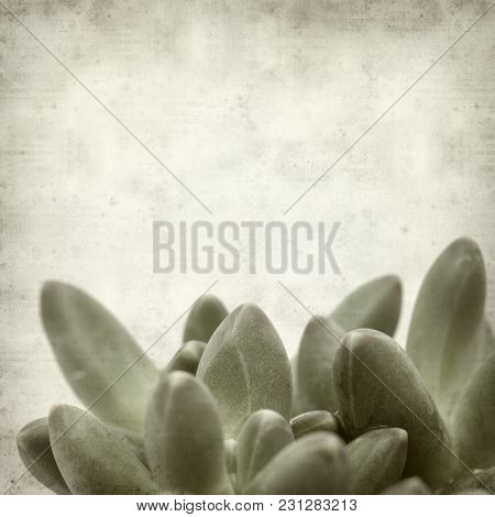 Textured Old Paper Background
