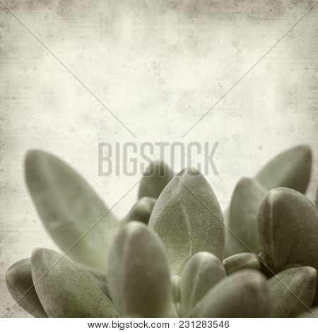 Textured Old Paper Background