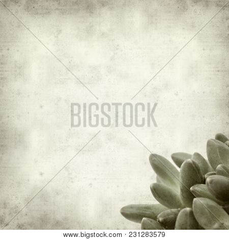 Textured Old Paper Background