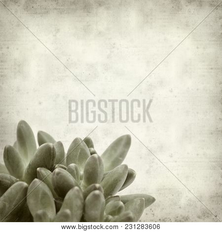 Textured Old Paper Background