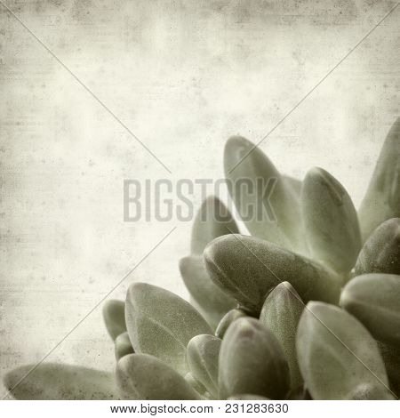 Textured Old Paper Background