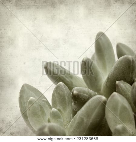Textured Old Paper Background