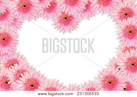 Heart Shape On Beautiful Pink Gerberas Petals Closeue