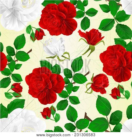 Seamless Texture Red And White Roses With Buds And Leaves Vintage Fetive Background  Vector Illustra