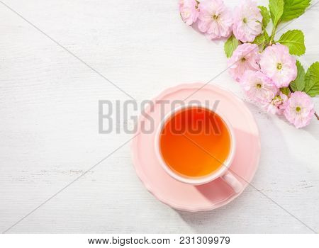 Cup of tea and  blossoming Almond (Prunus triloba) branch  on white wooden  table and copy space for text.