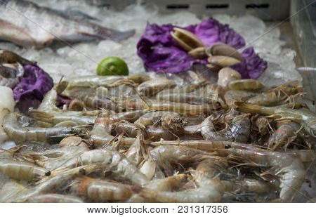 Frozen Royal Shrimps On The Pallet In Ice.