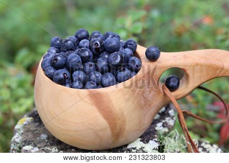 Blueberry Is A Summery Healthy Natural Bush