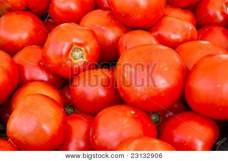 Big red tomatoes
