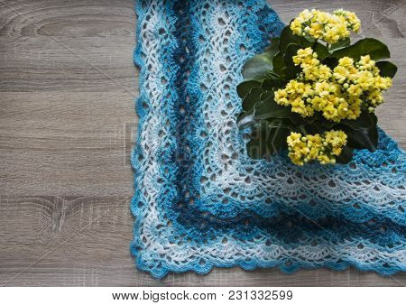 Background Tree Flower Kalandiva Yellow Bactus Shawl Crocheted Azure Blue Blue Sectional Dyeing Moha