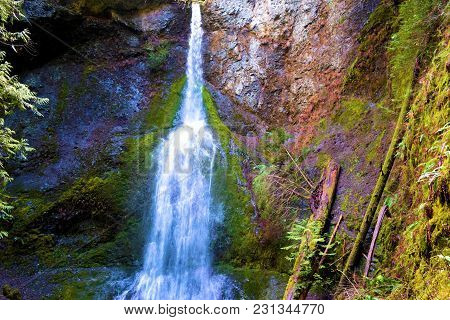 Marymere Waterfall Over A Bluff Surrounded By A Lush Green Temperate Pine Forest Taken In Olympic Na