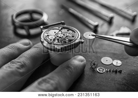 Process Of Installing A Part On A Mechanical Watch, Watch Repair