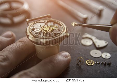 Process Of Installing A Part On A Mechanical Watch, Watch Repair